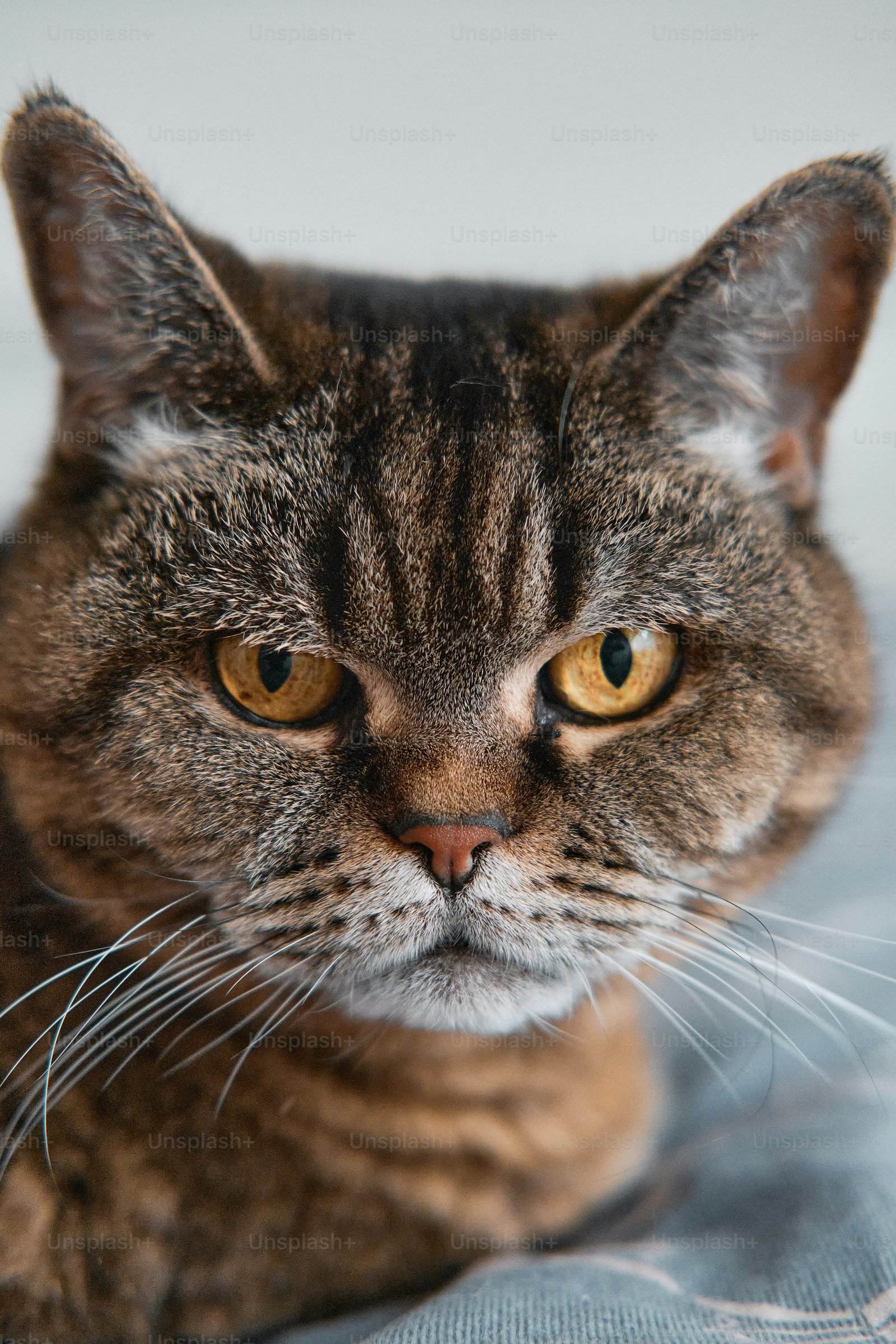 test212